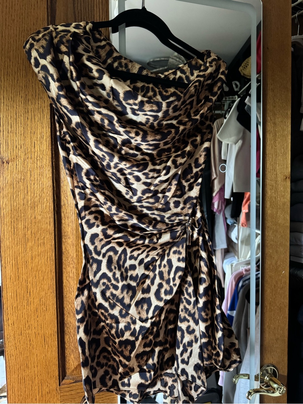 Fashion Nova Leopard Print Mini Dress - Brown & Black